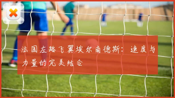 法国左路飞翼埃尔南德斯:速度与力量的完美结合