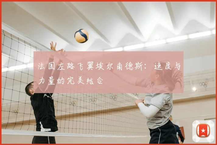 法国左路飞翼埃尔南德斯：速度与力量的完美结合