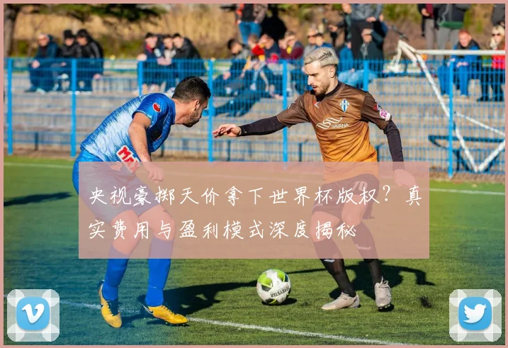 央视豪掷天价拿下世界杯版权？真实费用与盈利模式深度揭秘